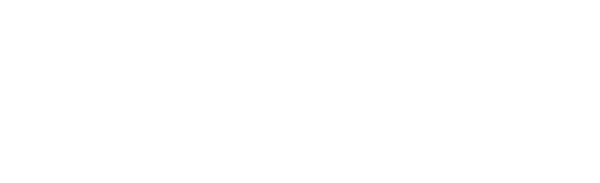 nexi_logo
